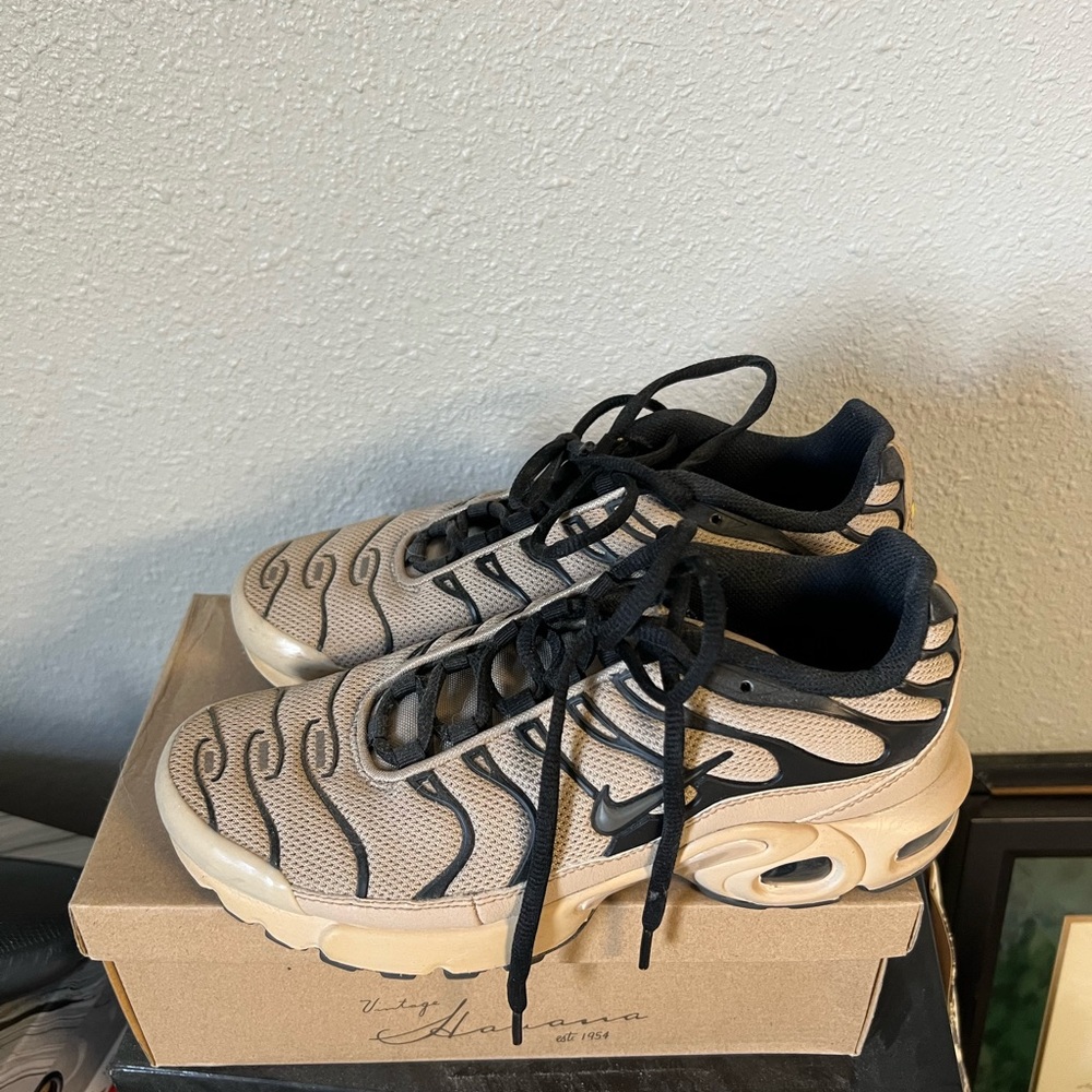air max plus tn